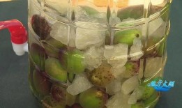 折梅煮酒最新瓜爆料,娱乐圈最新瓜料大曝光！